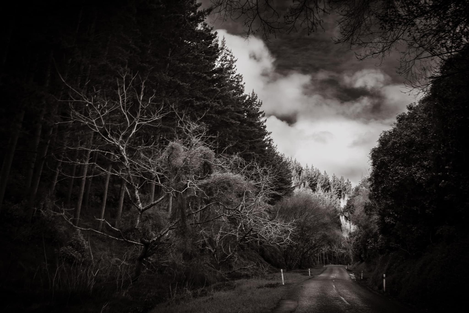 James' love of Back & White Photography can be seen in recent examples of his work.