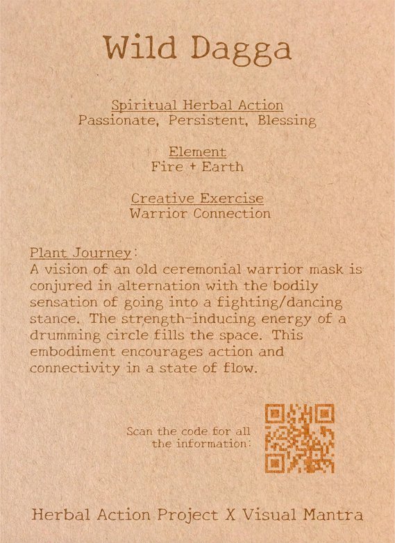Wild Dagga
Mantra: Strength Inheres in the Connection With All
Spiritual Herbal Action: Passionate, Persistent, Blessing 
Element: Fire + Earth
