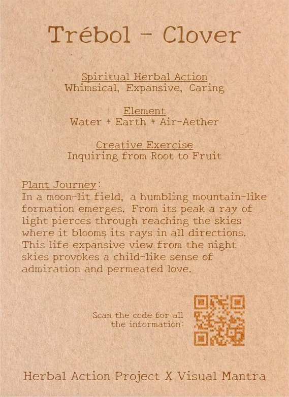 Spiritual Herbal Action: Whimsical, Expansive, Caring

Element: Water, Earth, and Air-Aether

Creative Exercise: Inquiring from Root to Fruit

In Collaboration with HerbalActionProject