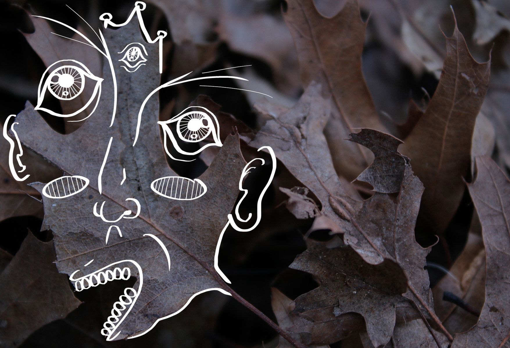 Photo-drawing of a face on a leaf.