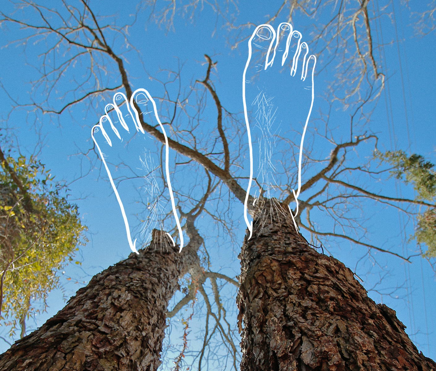 Photo-drawing of feet at the end of a pair of Austin trees.