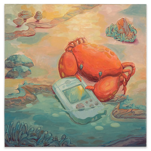 Crab Finds VMU in Rock Pool
Acrylic polymer on mounted hardwood panel
30 x 30 cm