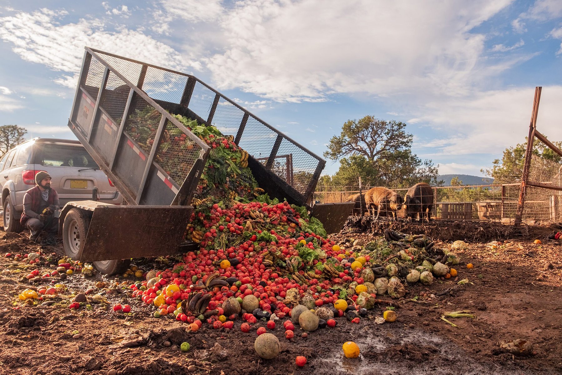 “Most farmers would never feed this stuff to pigs. The general conventional thought is that you want to feed pigs exclusively corn and soy. If you keep pigs hungry by giving them super dense artificially fortified protein sources . . . their stomachs are