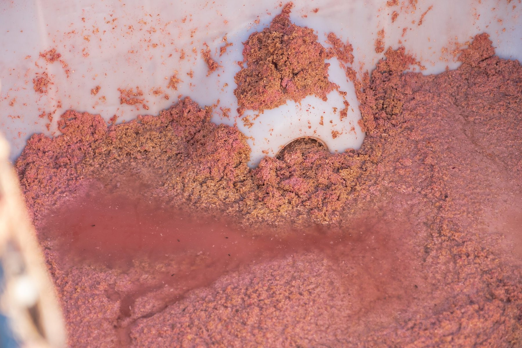 Distilleries process their alcohol with grain, like blue corn, rye or barley mixed together, and ferment it with the grain in the mash. Then they separate the alcohol and the mash mixture, and it ends up in Zach and Ethans possession in huge tubs of pink-