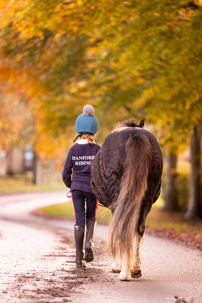 A girl walks alongside her pony away from the camera, down a beautiful autumnal road with orange, yellow and green leaves. She is wearing a riding hat a jumper with Hanford School written on the back.