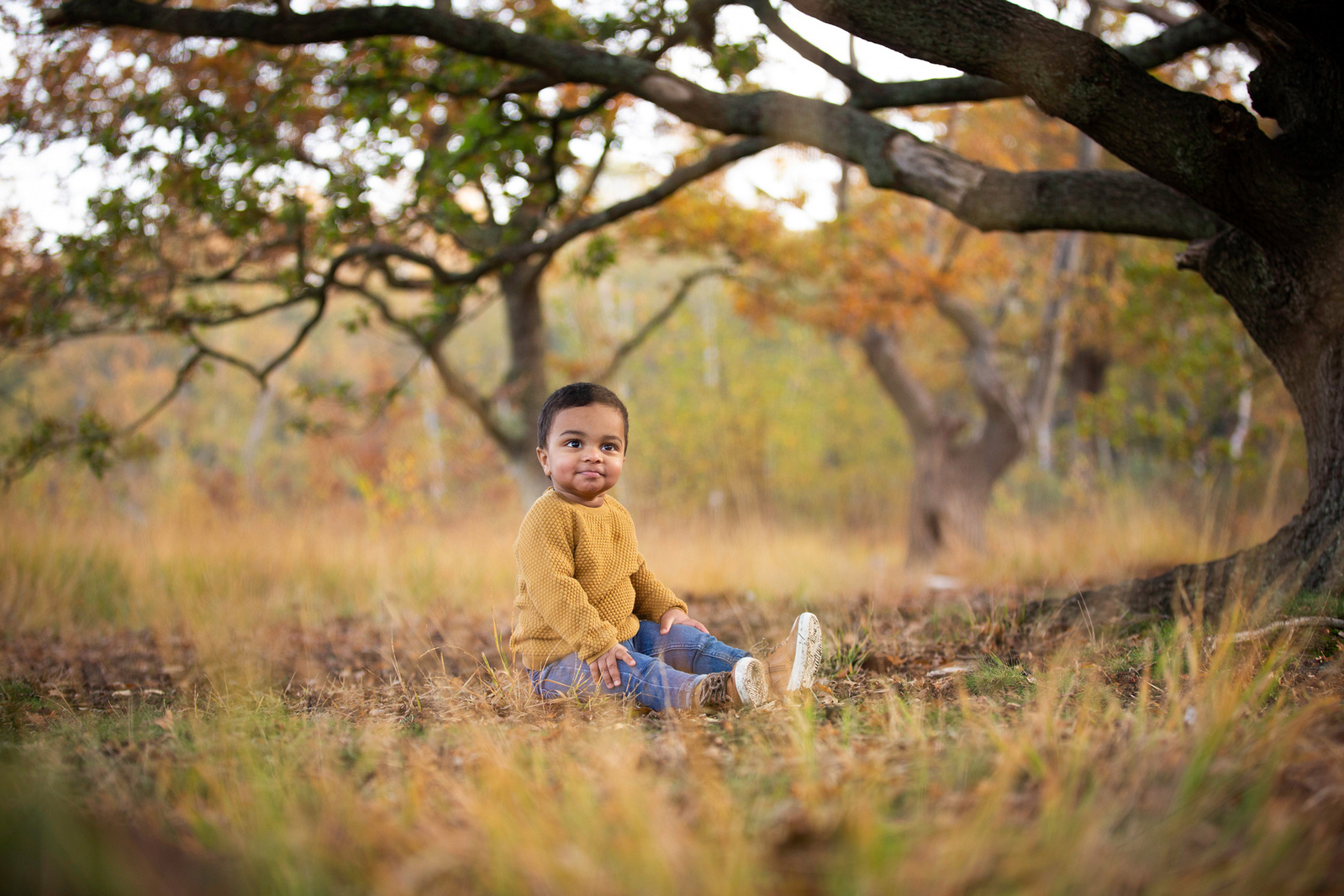 A 3 year old boy sits on the ground in late summer under a tree posing for a professional photograph in wiltshire