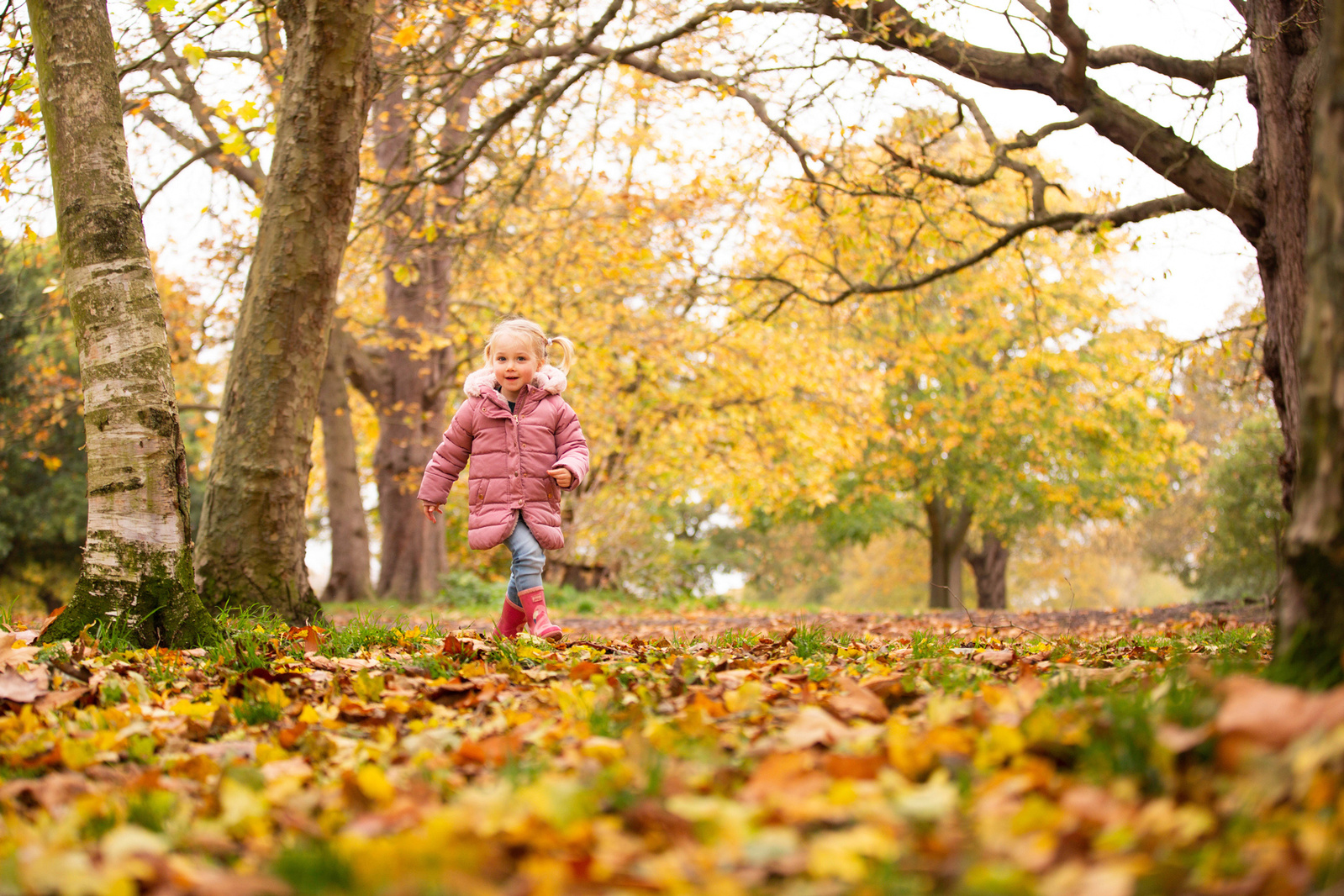 Girl kicking leaves photograph taken by family professional photographer

