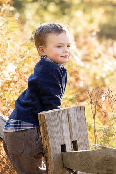 A boy stands on a wooden fence looking into the distance. He's wearing a navy jumper. Dorset countryside and leaves show in the background
