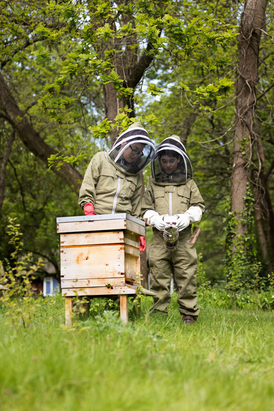 Two students at Sunningdale School examine the bee hive 