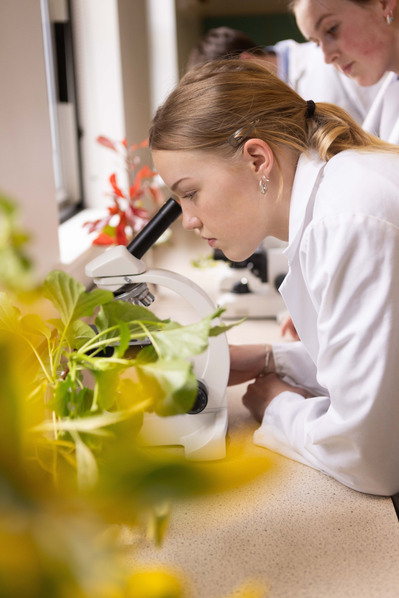 A teenage pupil in a white lab coat looks through a microscope in a Biology Lab at Clayesmore School, Dorset