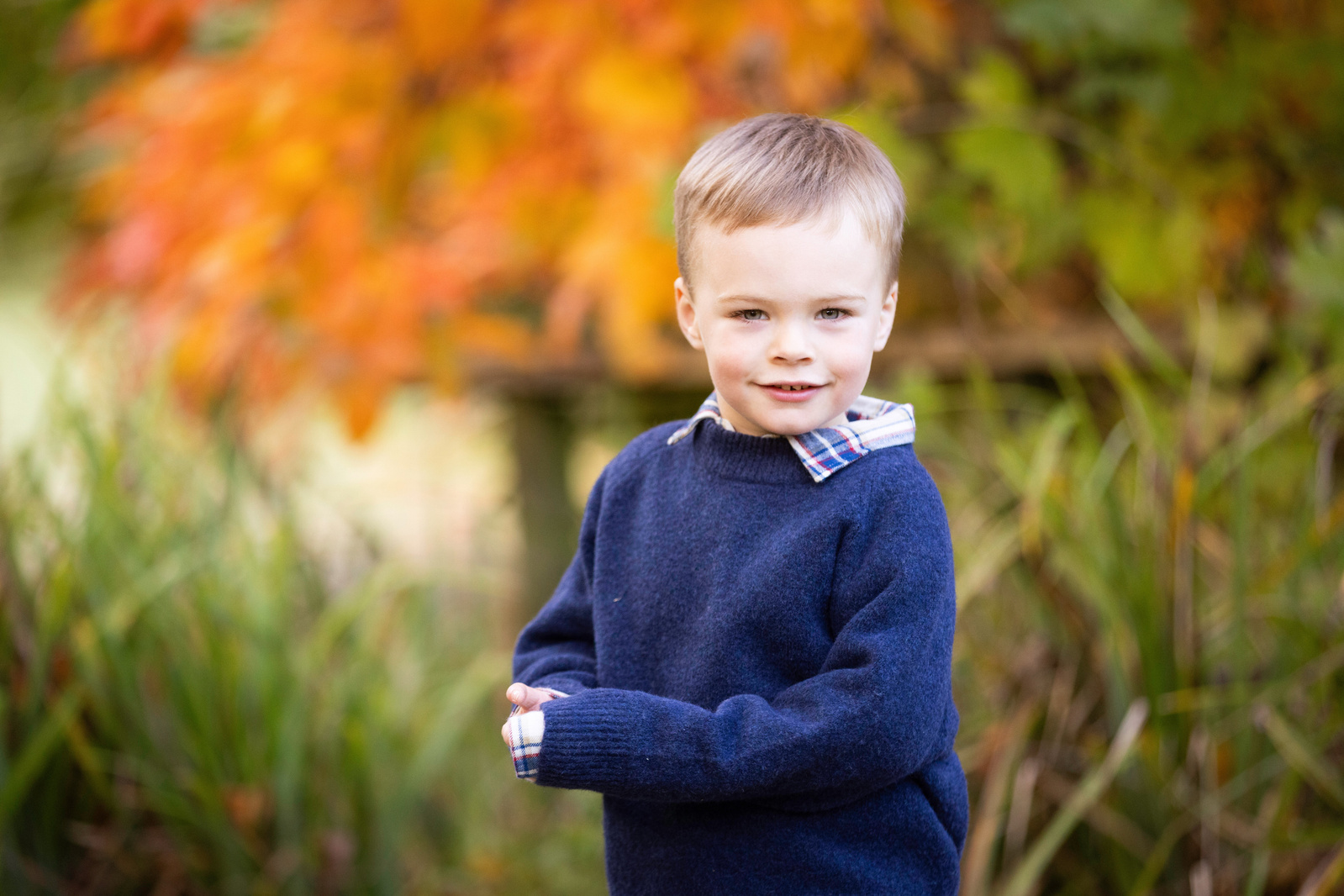 One 5 year old boy looks at the camera in front of autumnal leaves in a professional photo shoot in Dorset England
