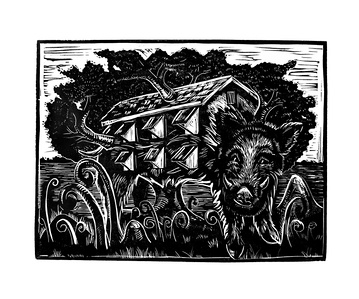 Surreal image of wild boar that is also a beach house with a live oak tree growing through it. 