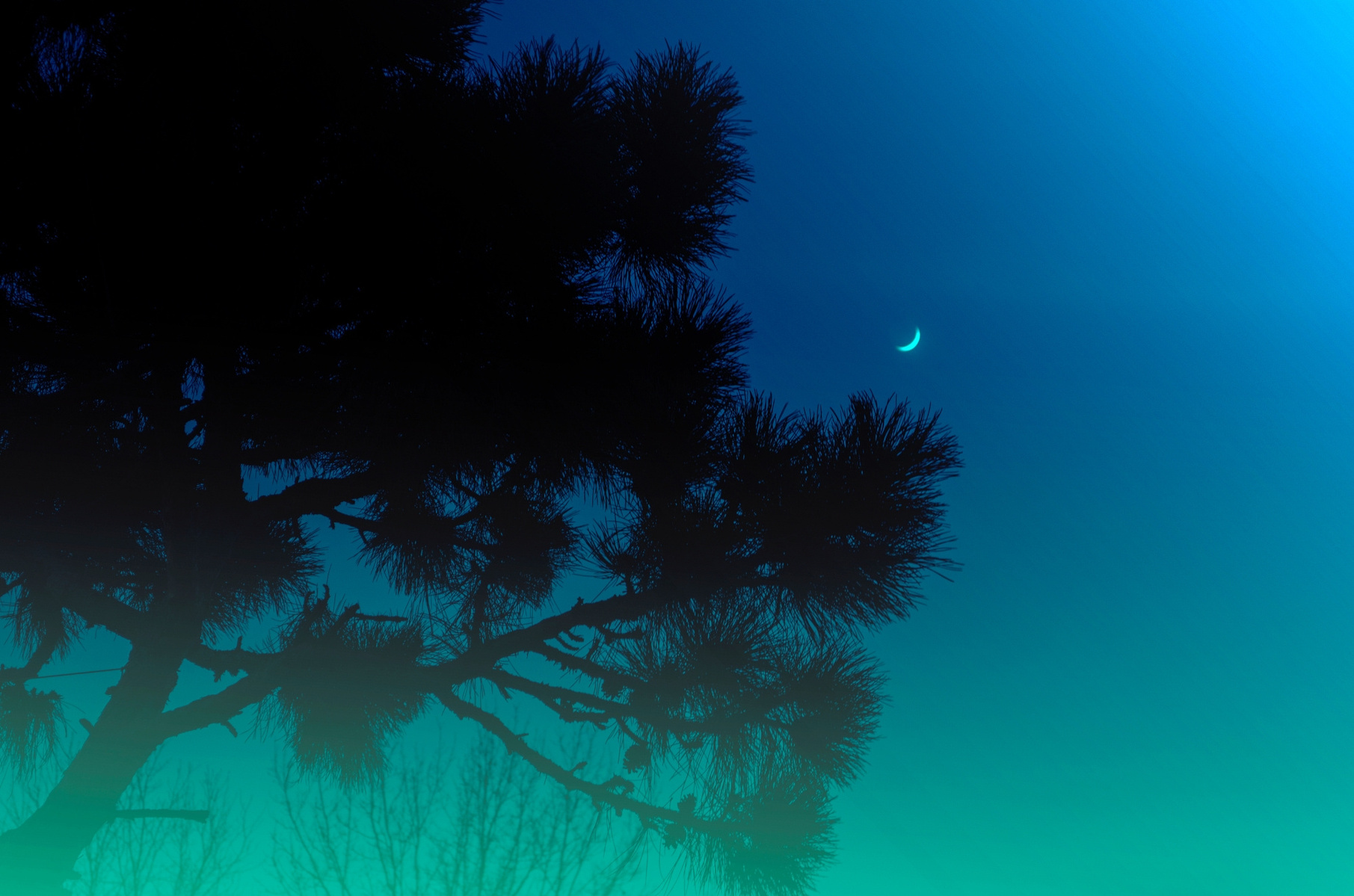 Explore breathtaking nature photography by MFFPHOTOGRAPHY. 