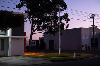 suburban industrial streetscape at dusk with a disused flag pole and huge gum tree