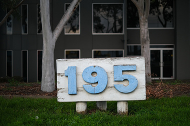 a large white wooden sign with a light blue  number '195' and beyond that two large gum tree trunks and a modern office building behind filling the frame