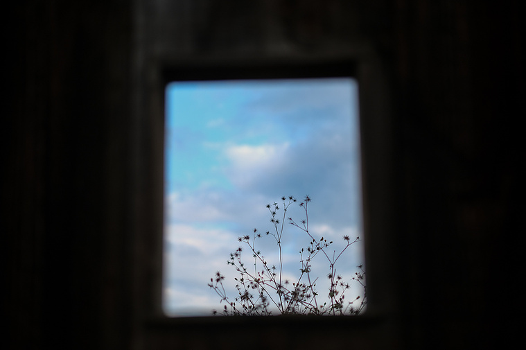 blue sky with clouds and dandelion weeds seen through abandoned concrete walled window frame 