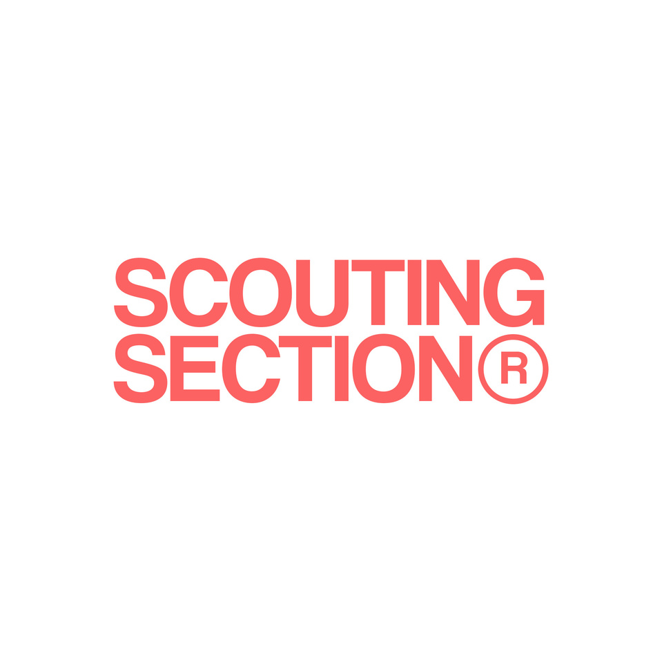 SCOUTING SECTION 