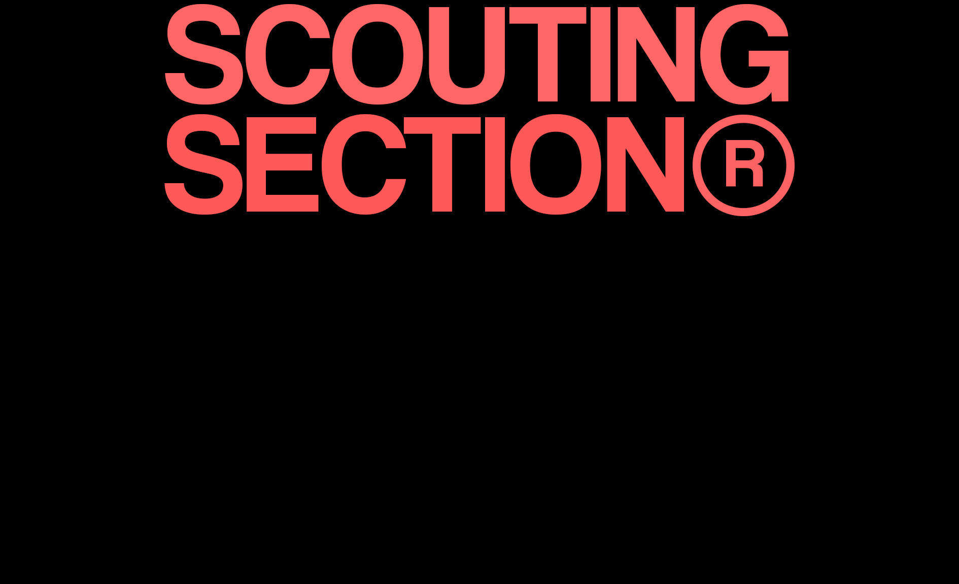 SCOUTING SECTION 