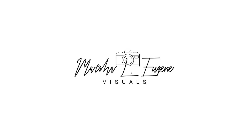 MLE Visuals