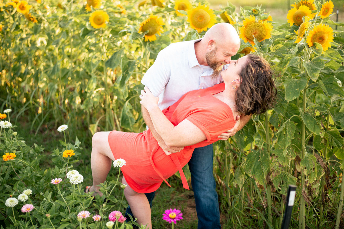 A husband dips his wife in a photography pose in front of a flower meadow at sunset in Oklahoma