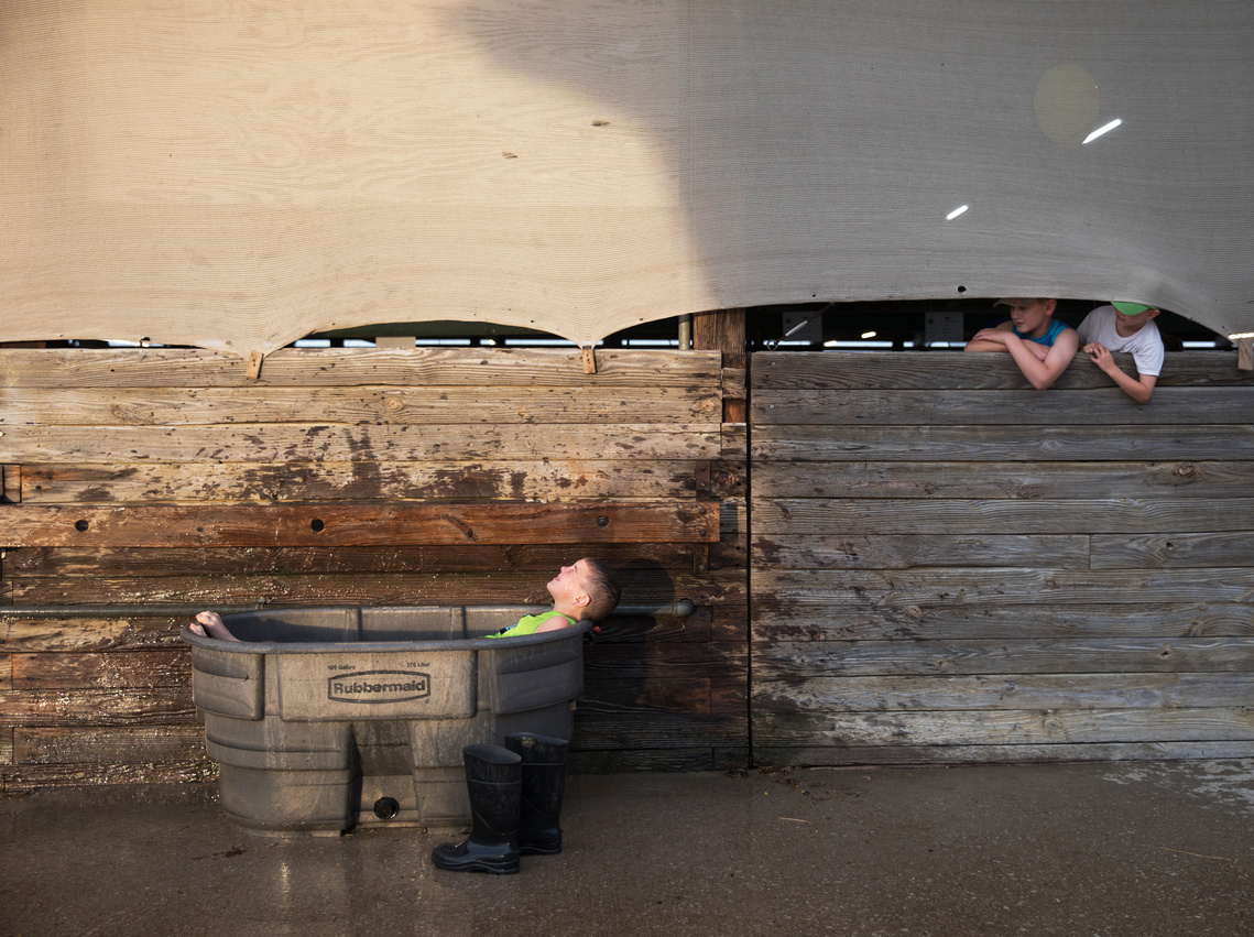 Clayton Sickbert, 8, of Holland, relaxes in a cattle trough while Mark McAninch, 9, of St. Henry, and his brother, Gus, 5, watch from inside the beef barn at the Dubois County 4-H Fairgrounds in Bretzville on July 16, 2019. 