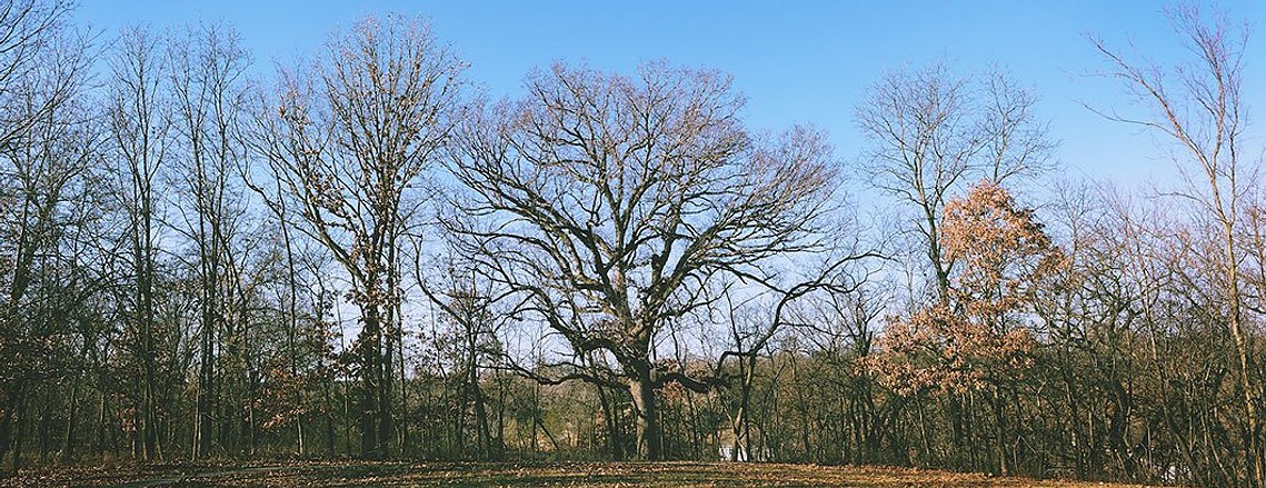 Bucks county osteopath