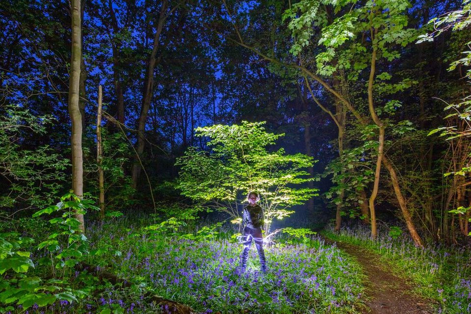 someone painting with light in a bluebell wood