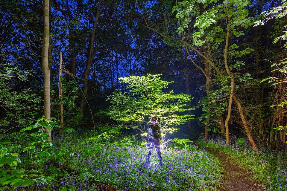 someone painting with light in a bluebell wood