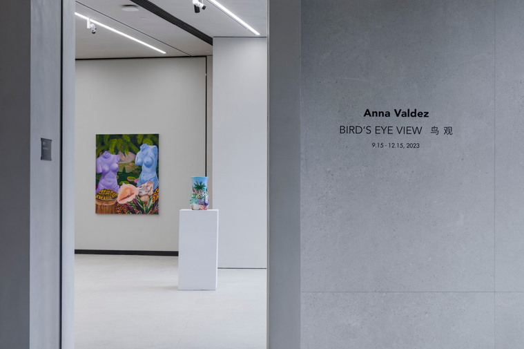 Anna Valdez Artist, Bird's Eye View, Dangxia Art Space, Irina Stark Art Advisor Curator, OCHI gallery
