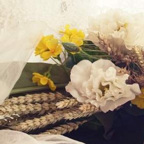 mariage forfaits tarifs bon rapport qualités prix 