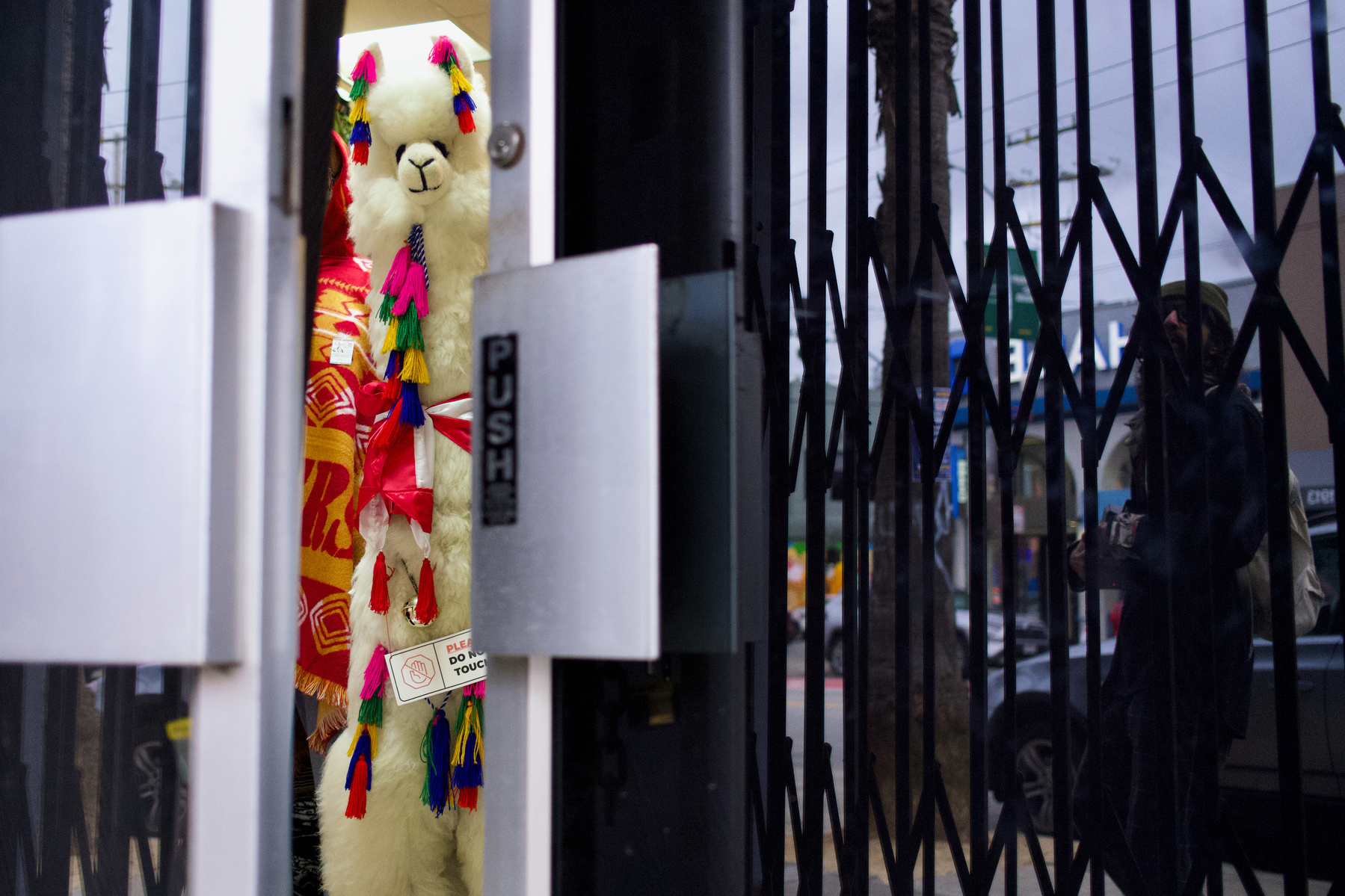 Stuffed llama in doorway, Mission District, San Francisco