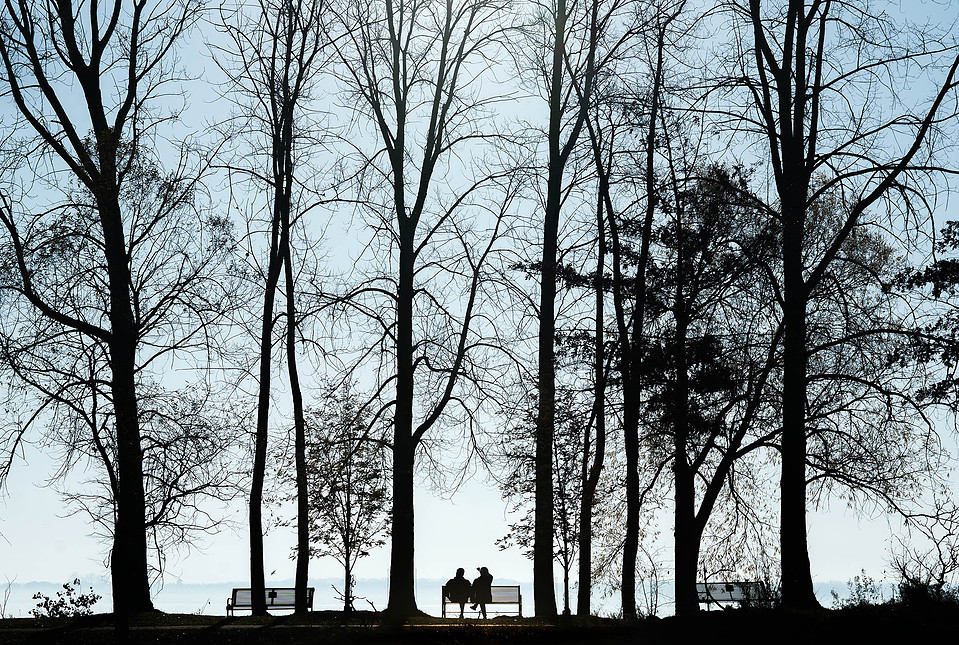 Trees and people are seen in silhouette.