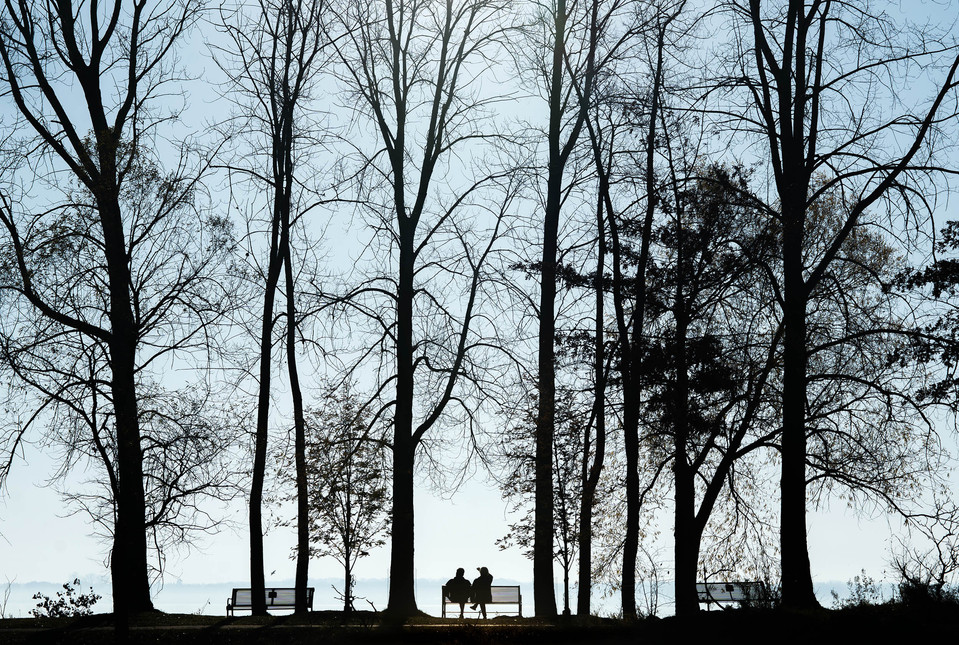 Trees and people are seen in silhouette.