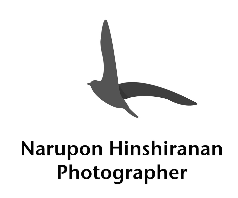 Narupon Photography : English Speaking Thai Professional Photographer, Portrait, Studio, Wedding & Pre-wedding, Documentary and Landscape, Paris France, Bangkok Thailand. ช่างภาพ สตูดิโอ ถ่ายบุคคล แต่งงาน พรีเวดดิ้ง, Narupon Hinshiranan.