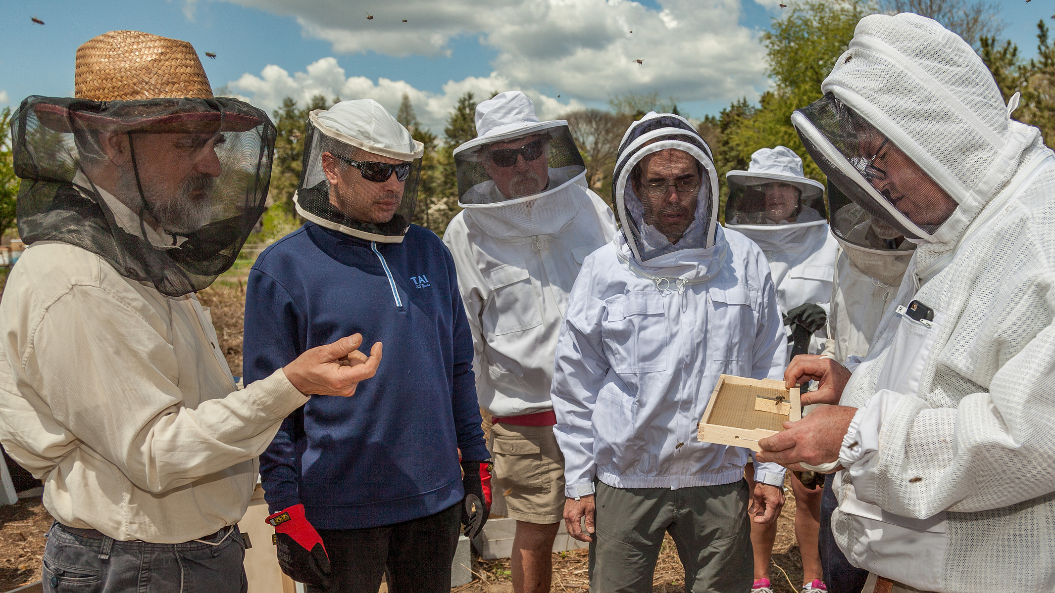 Members of the Philadelphia Beekeepers Guild installing nucs at Flat Rock Apiary in Philadelphia.