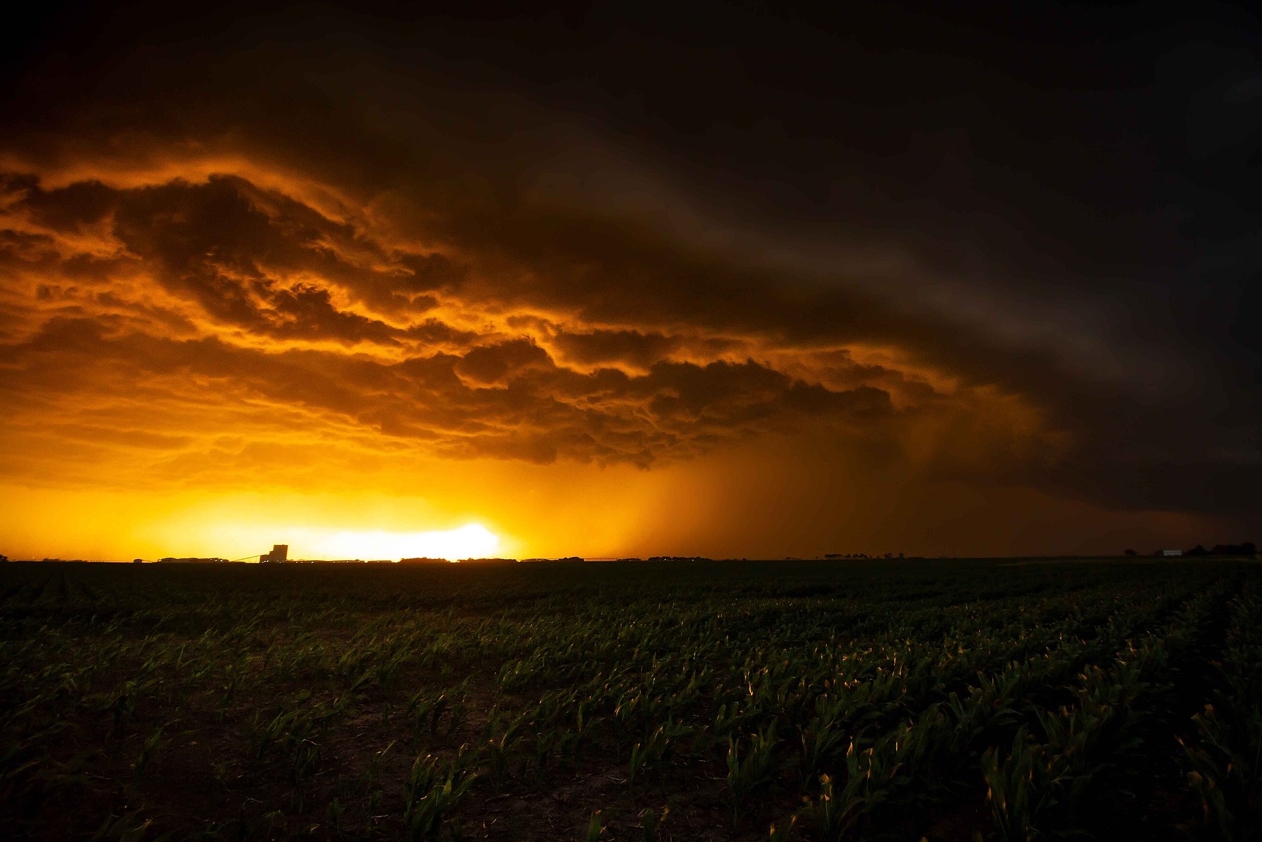Swirling dark ominous clouds hover eerily above a corn field during sunset in York, Nebraska