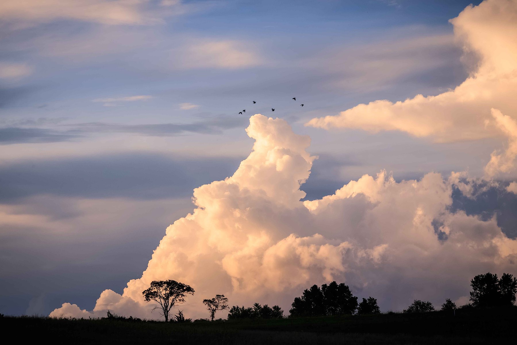 Majestic clouds rise high into the sky with birds flying above them in Seward Nebraska.