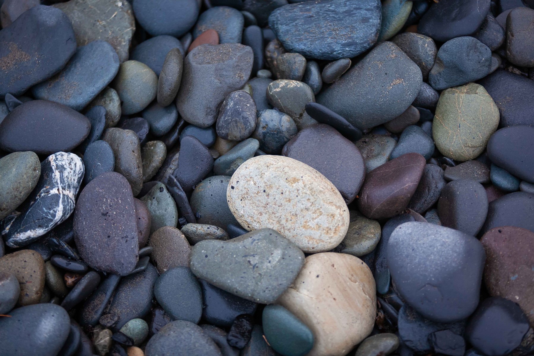 Looking down at smooth stones on the beach in Alaska.