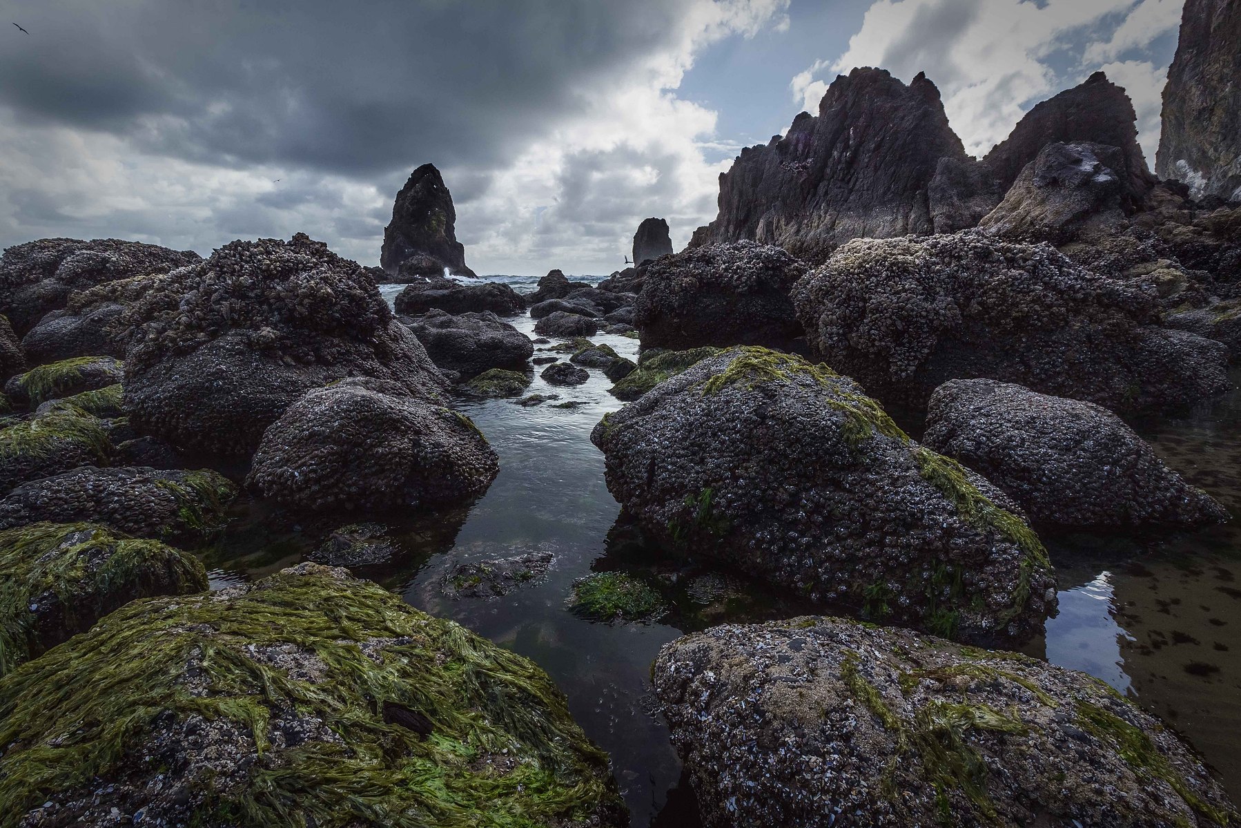 Highly textured rocks jut out of the earth on Oregon's Cannon Beach.