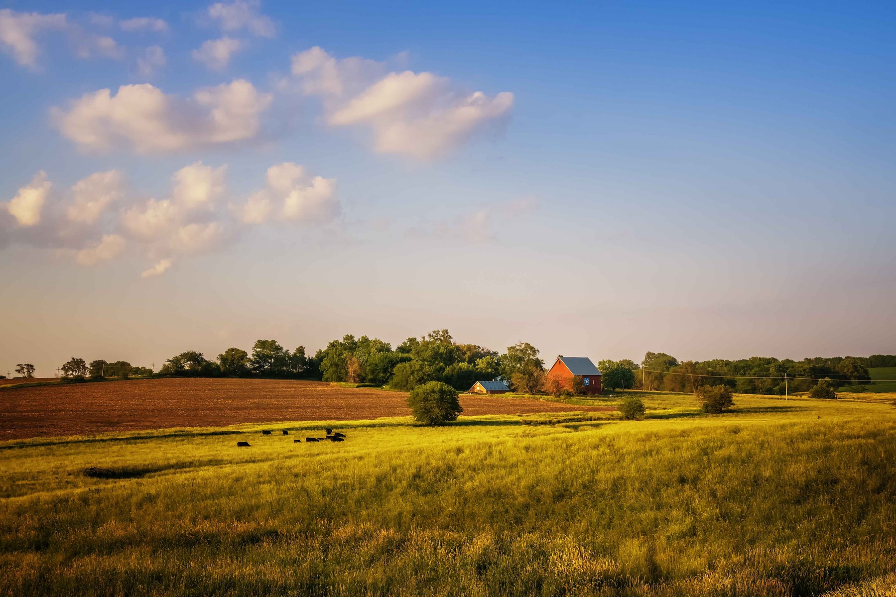 A barn stands in the distance among amber colored grass hills.