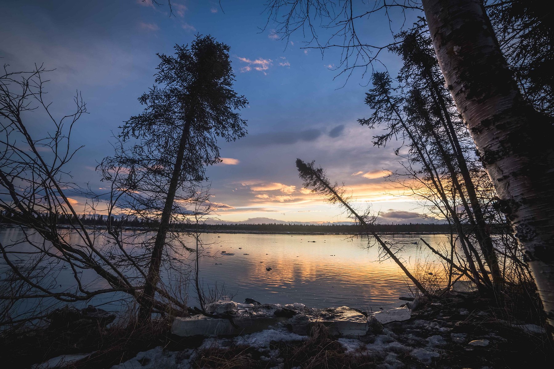 Trees partially block a spectacular sunset on a river in winter in Kenai Alaska.