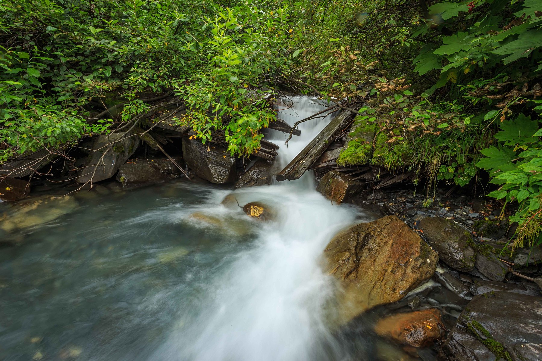 A tiny waterfall found on a trail in Valdez Alaska