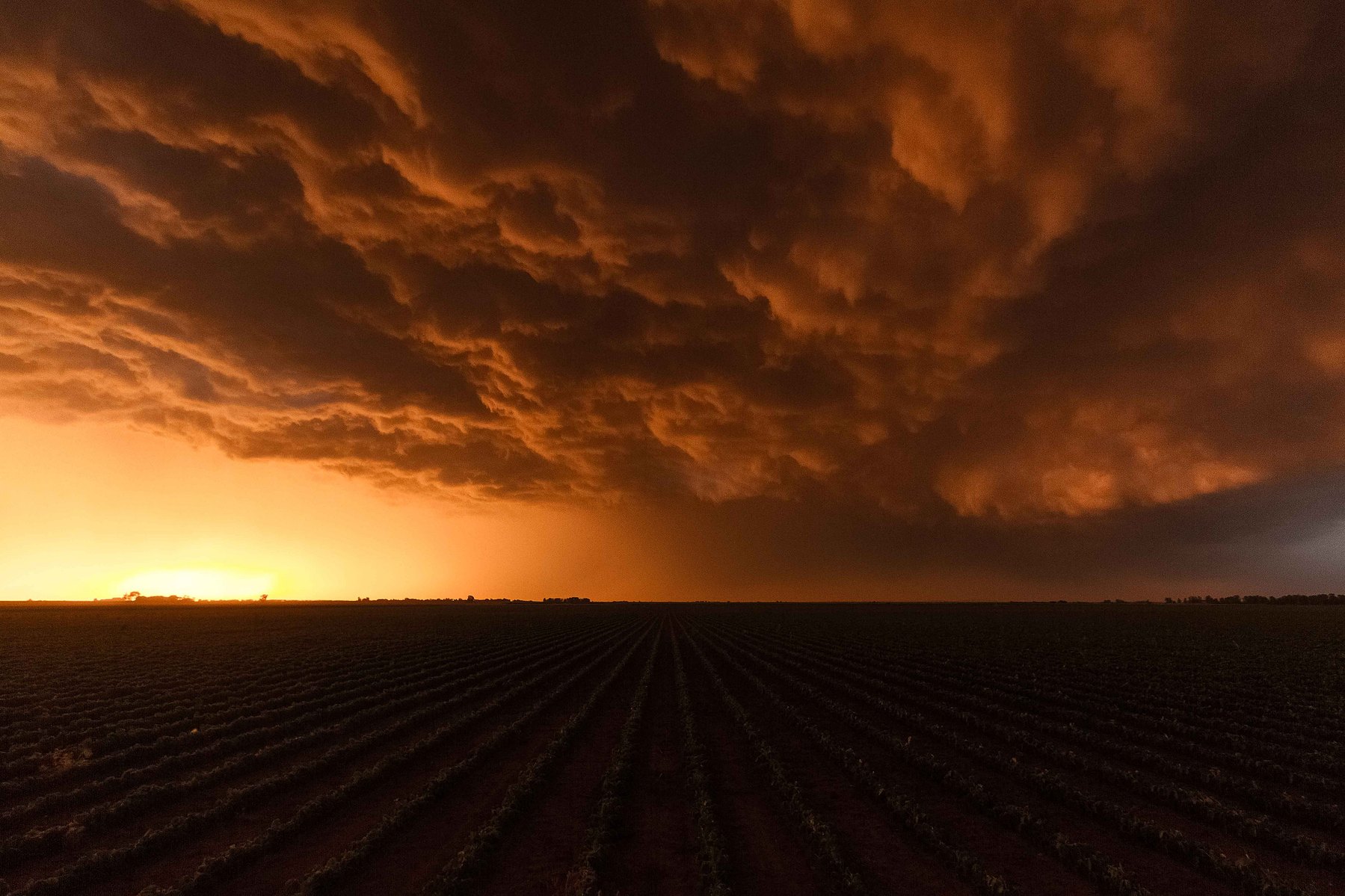 Eerie blood red storm clouds brew above a corn during sunset in York, Nebraska.