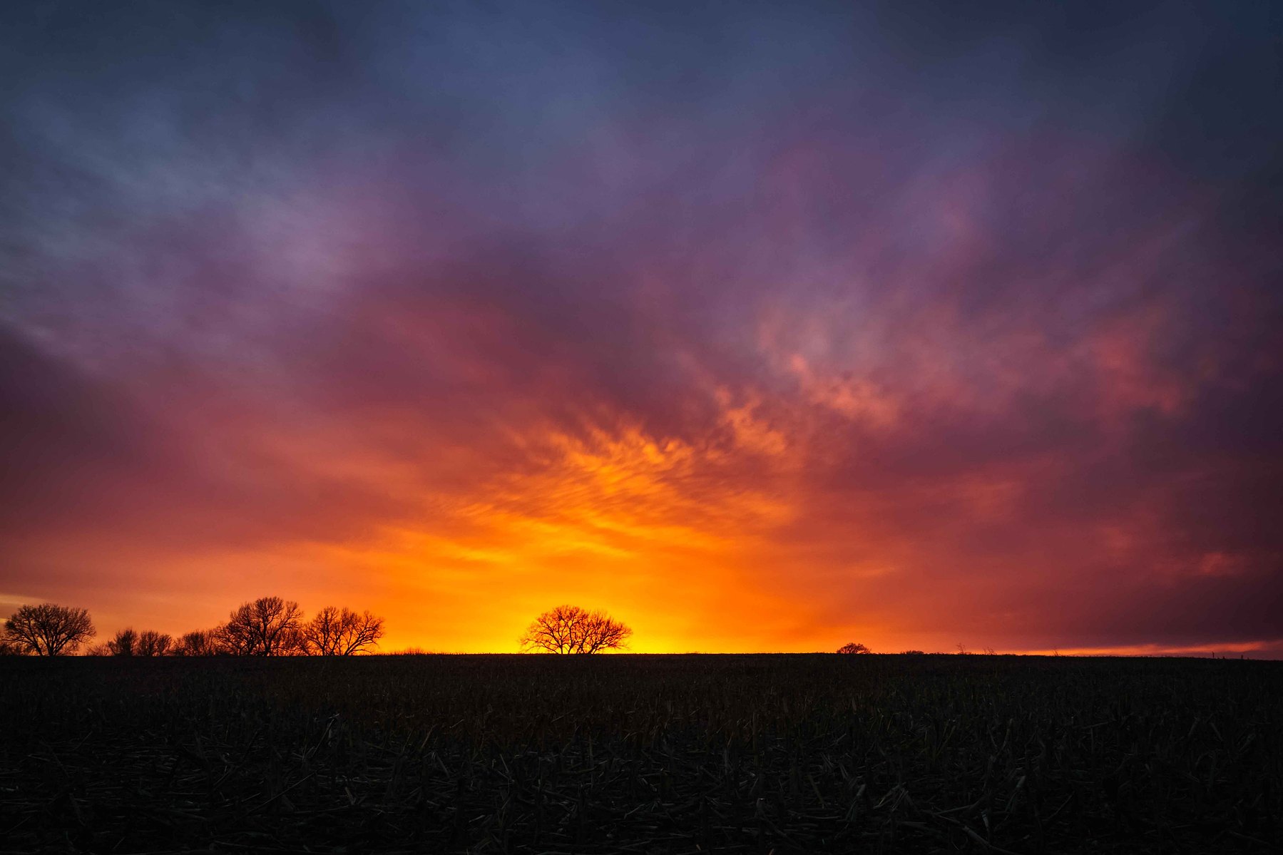 A brilliant display of orange and purple in the sky against a silhouetted backdrop paint this beautiful sunset in Nebraska.