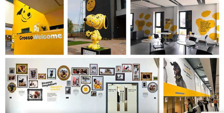 Dogs Trust branding Cardiff rehoming centre. Copywriting