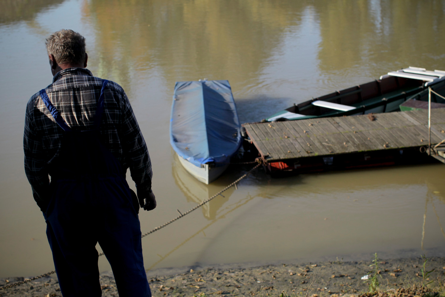 A Gyor, sur la rive d'un des afluents du Danube à une centaine de kilomètres de l'accident de l'usine d'aluminium en Hongrie. Deux jours après la catastrophe écologique de l'usine de Ajka, on y trouve déjà des poissons morts.