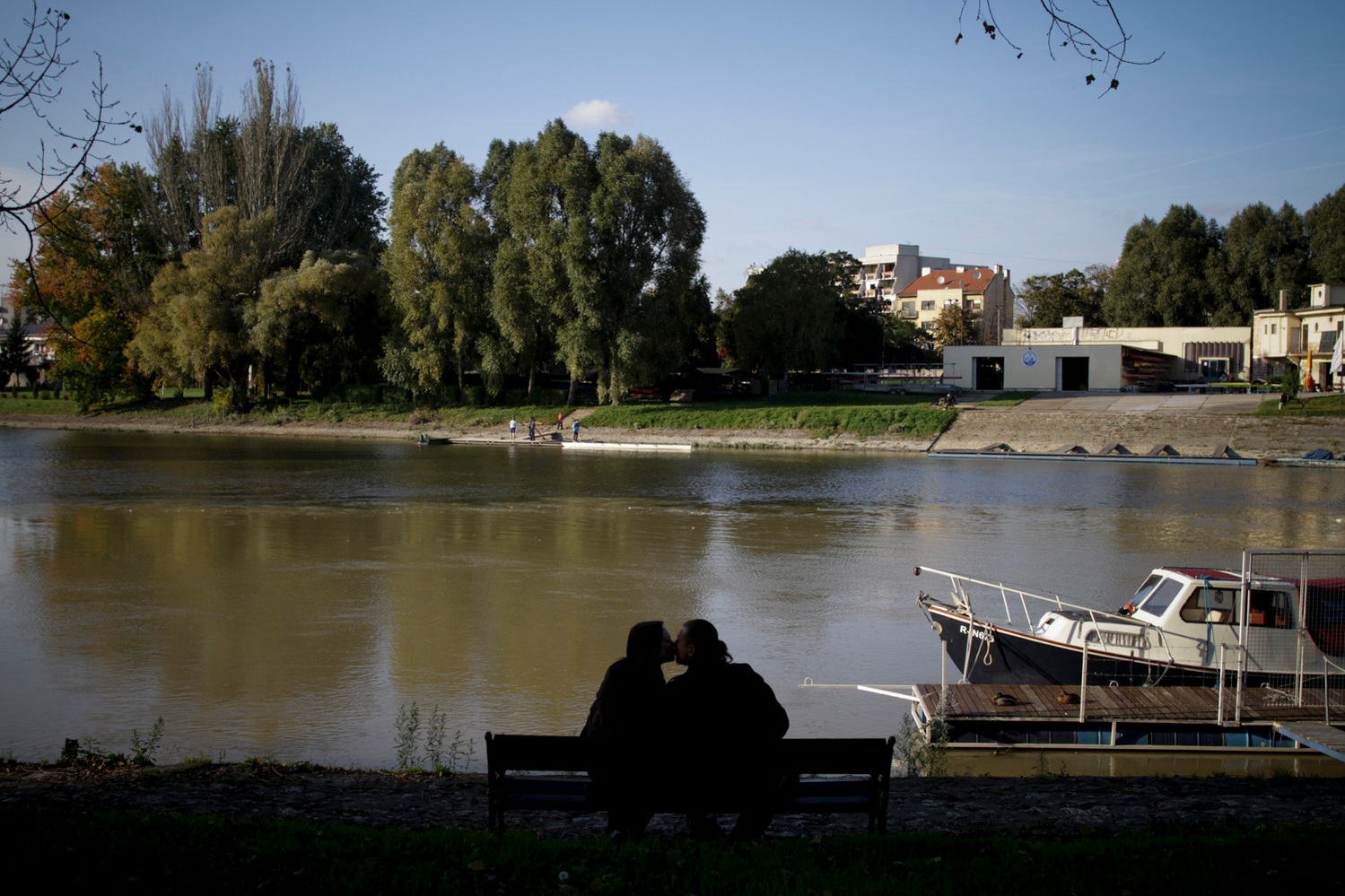 A Gyor, sur la rive d'un des afluents du Danube à une centaine de kilomètres de l'accident de l'usine d'aluminium en Hongrie. Deux jours après la catastrophe écologique de l'usine de Ajka, on y trouve déjà des poissons morts.