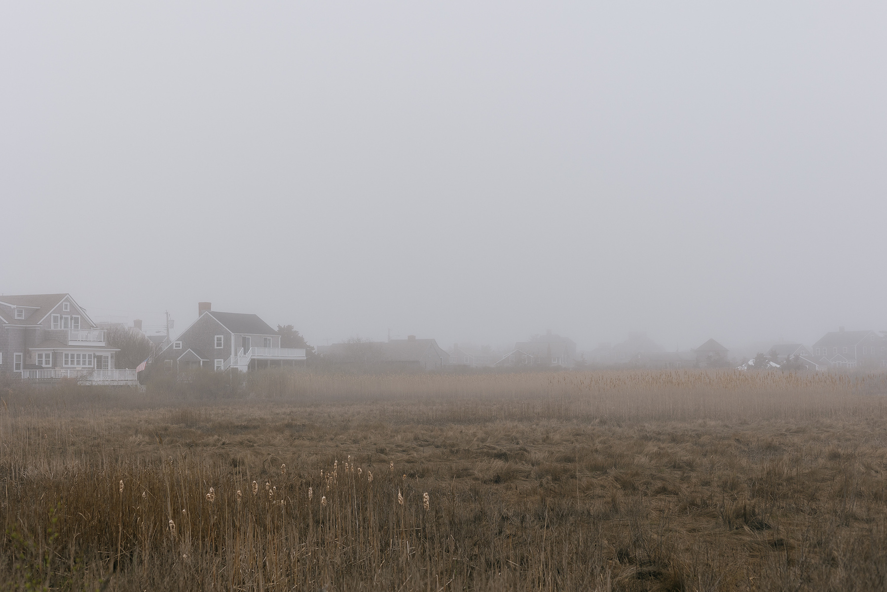 Day Trip to Nantucket | Shannon C Broderick 

Beaches and marshes on a foggy day on the island of Nantucket
