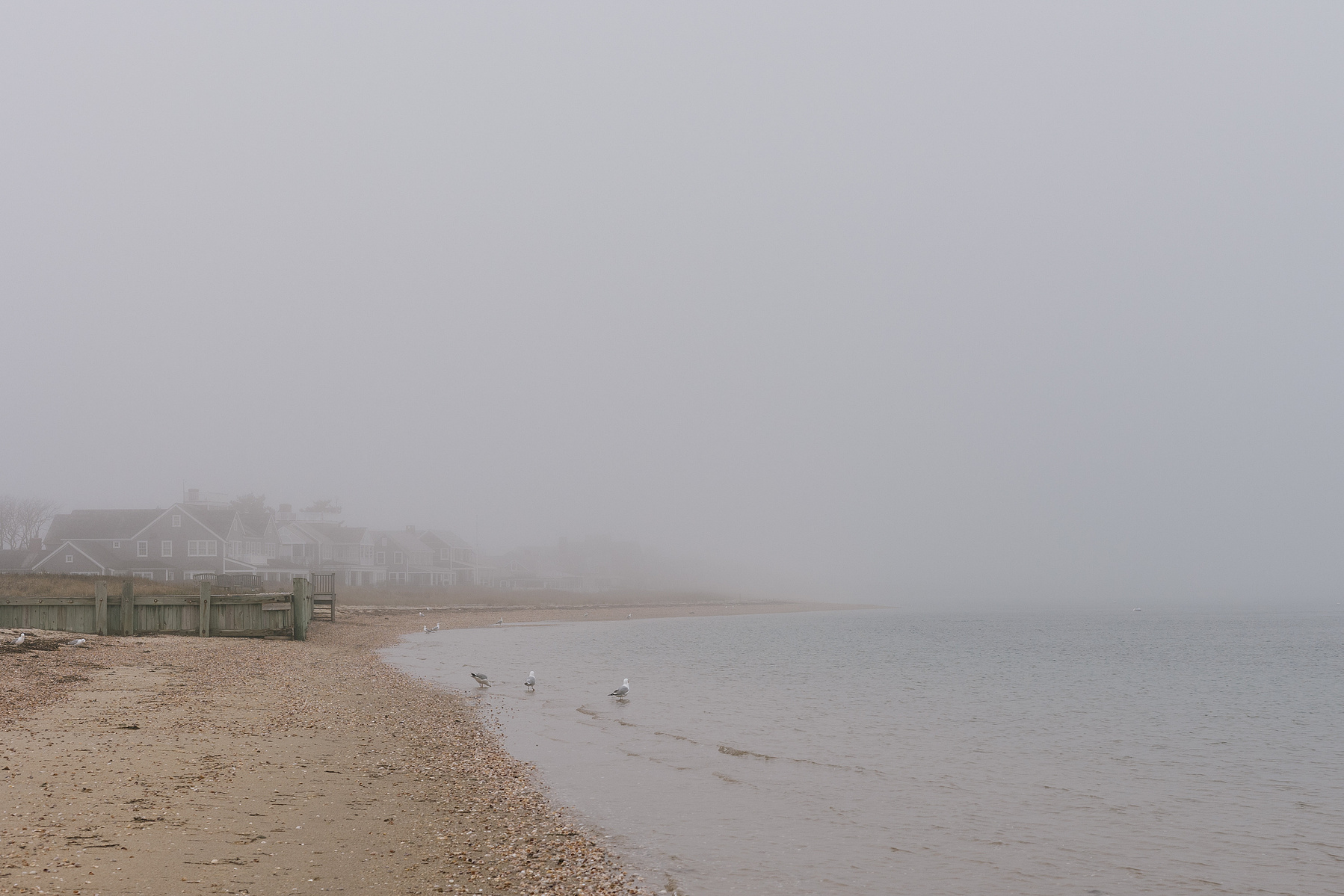 Day Trip to Nantucket | Shannon C Broderick 

Foggy beach on the island of Nantucket