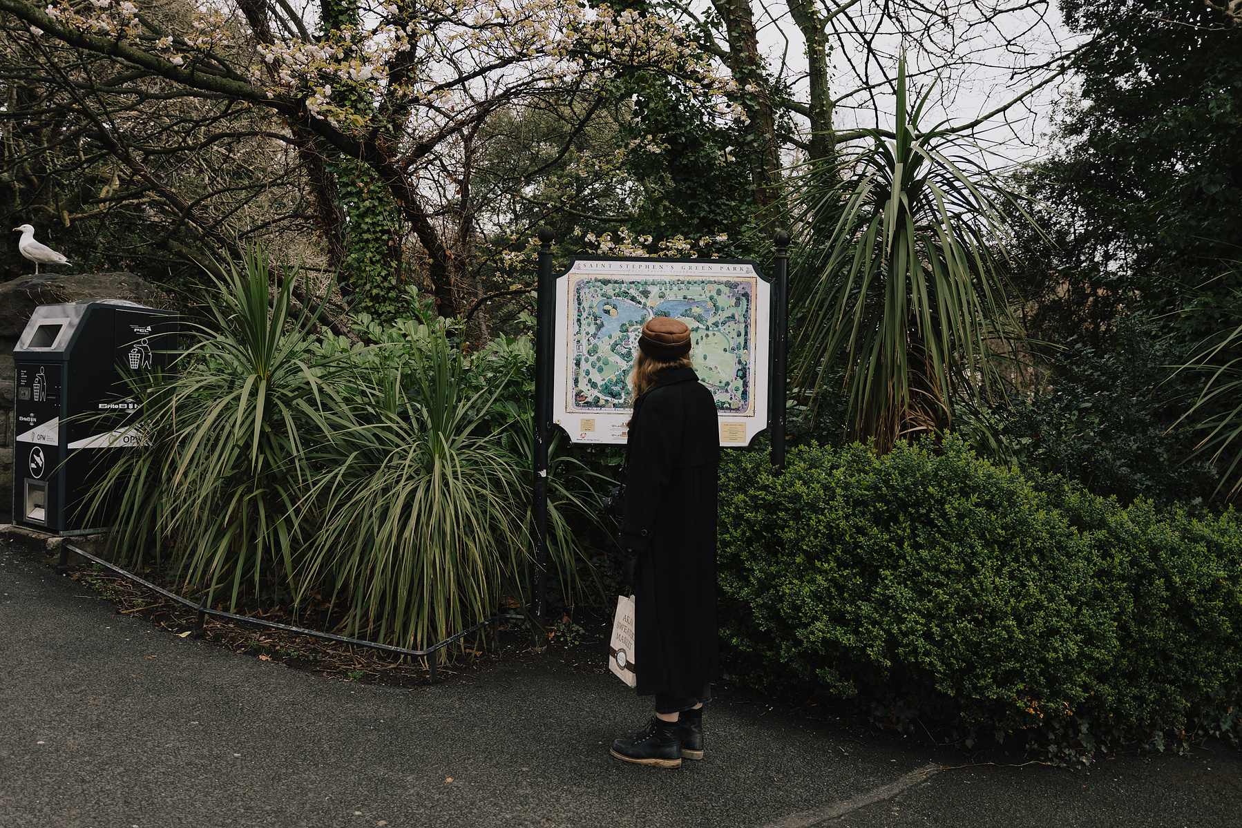 Visiting Ireland in March | Ireland in the Off Season | Shannon C Broderick 